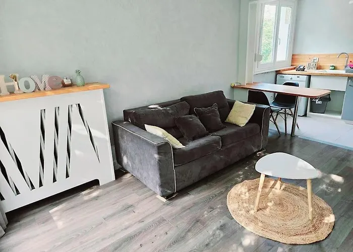 Joli F2 Gare Orleans Avec Parking Prive Et Balcon Classe 3 Etoiles
