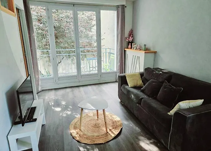 Joli F2 Gare Orleans Avec Parking Prive Et Balcon Classe 3 Etoiles
